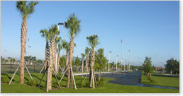 pr_PelicanSoccer_rotate01